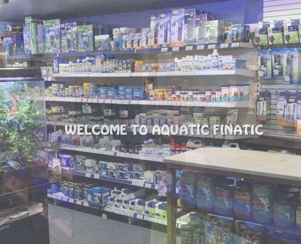 Aquatic Finatic